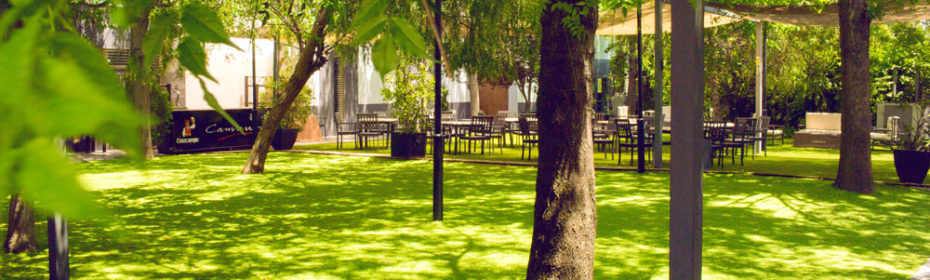 Menús terraza de verano 2018
