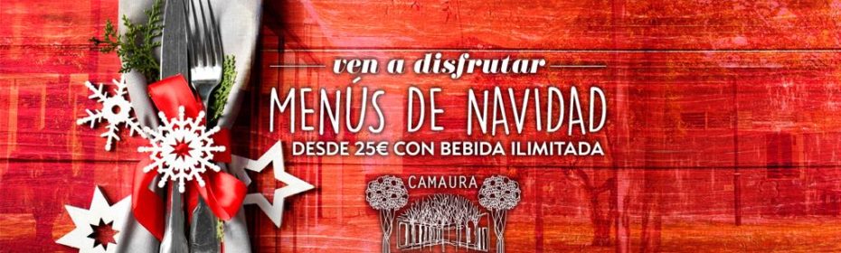 Cena de Navidad 2017 en Granada